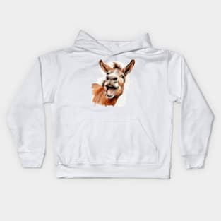 Happy Donkey Kids Hoodie